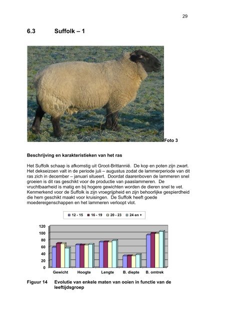 schapen en geitenrassen - Landbouw en Visserij - Vlaanderen.be