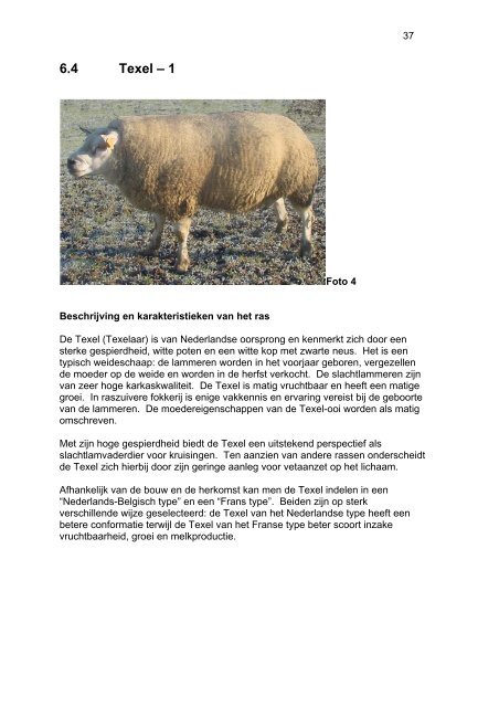 schapen en geitenrassen - Landbouw en Visserij - Vlaanderen.be