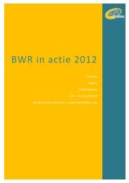BWR actieplan 2011 - BWR Brusselse Welzijns- en Gezondheidsraad