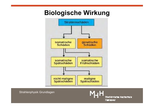 Strahlenphysik 2010 _folien_pdf - Medizinische Hochschule Hannover