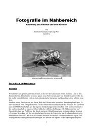 Fotografie im Nahbereich - Mikroskopisches Kollegium Bonn