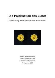 Die Polarisation des Lichts - NGW