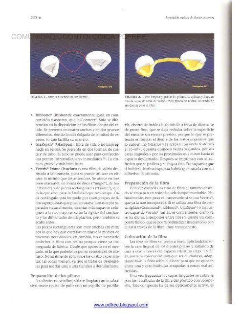 Traumatologia Oral en Odontopediatria: Diagnostico y tratamiento integral