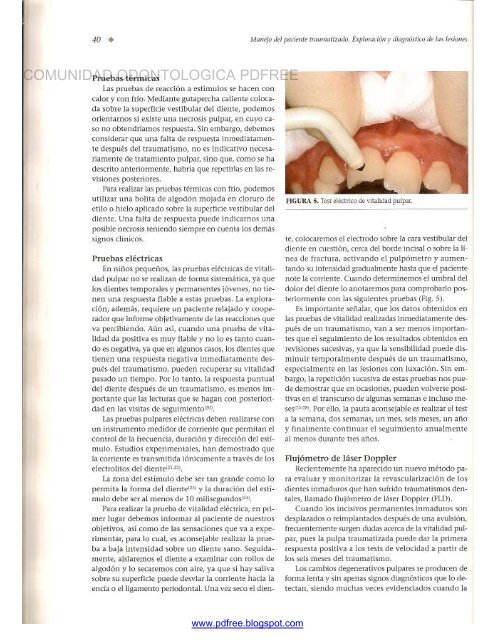 Traumatologia Oral en Odontopediatria: Diagnostico y tratamiento integral