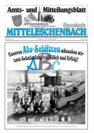 Amtsblatt Nr. 8 / Ausgabe 29.08.08 - Mitteleschenbach