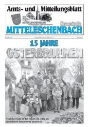 Amtsblatt Nr. 3 / Ausgabe 28.03.2013 - Mitteleschenbach