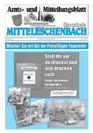 Amtsblatt Nr. 4 / Ausgabe 26.04.2013 - Mitteleschenbach