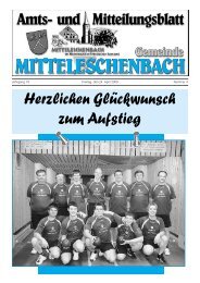 Amtsblatt Nr. 4 / Ausgabe 24.04.09 - Mitteleschenbach