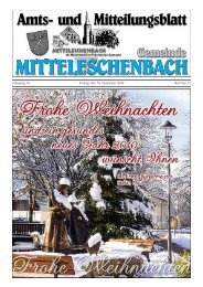 Amtsblatt Nr. 12 / Ausgabe 18.12.09 - Mitteleschenbach