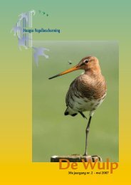 Mei 2007 - Haagse Vogelbescherming
