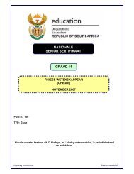 nov 2007 gr 11 chemie vraestel afr