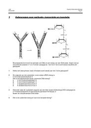 6 Oefenvragen over replicatie, transcriptie en translatie