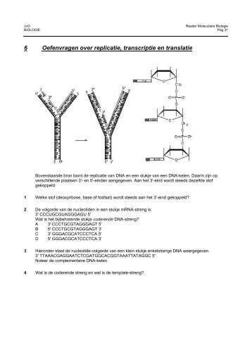 6 Oefenvragen over replicatie, transcriptie en translatie