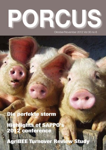 porcus - sappo