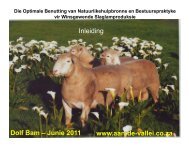 Dolf Bam Lesing Junie 2011 - Voermol