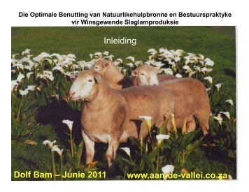 Dolf Bam Lesing Junie 2011 - Voermol