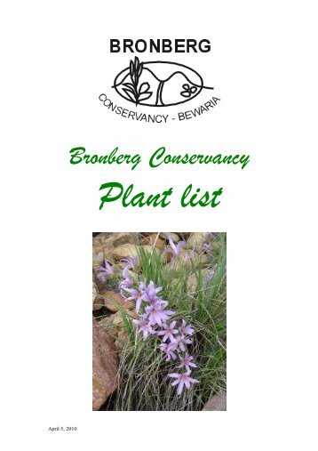 Bronberg Plants - Bronberg Conservancy