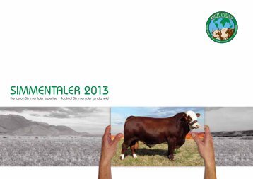 Simmentaler Joernaal 2013.indb