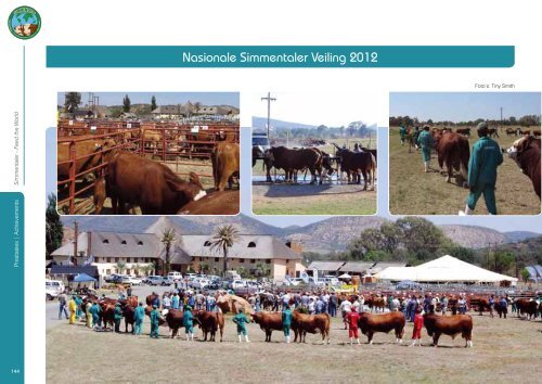 Simmentaler Joernaal 2013.indb