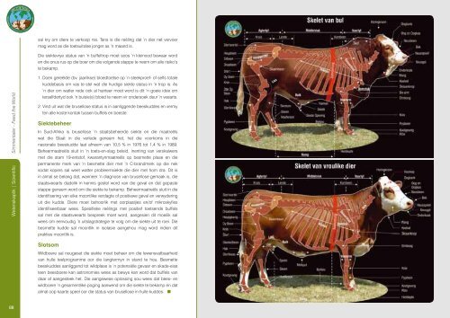 Simmentaler Joernaal 2013.indb