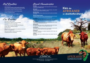 Breed Characteristics - The Afrikaner Cattle Breeders' Society of ...