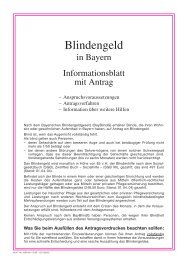 Blindengeld Merkblatt