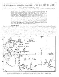 The Upper Jurassic Morrison Formation in the Four Corners Region