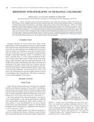 Mesozoic Stratigraphy at Durango, Colorado - New Mexico ...