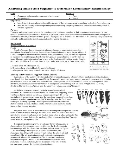 Analyzing amino acid sequences