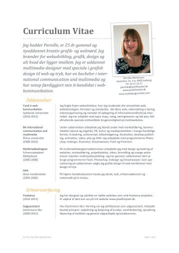 mit fulde cv - PixelForPixel