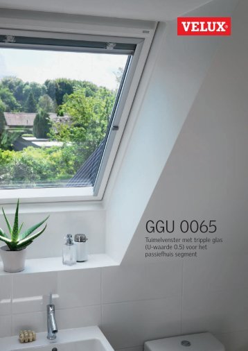 GGU 0065 - Velux