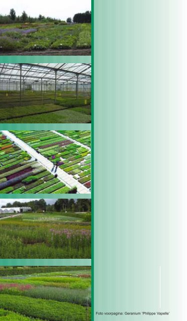 PDF catalogus - Lageschaar Vaste Planten
