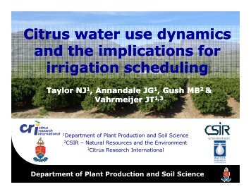 Citrus water use dynamics and the implications for ... - SANCID