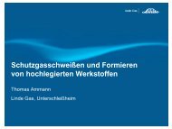 Schutzgasschweißen und Formieren von hochlegierten Werkstoffen