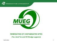 Acid Tar Remediation Projects - MUEG