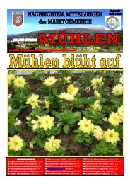 Ausgabe 6/2008 - Mühlen