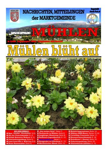 Ausgabe 6/2008 - Mühlen