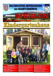 Ausgabe 11/2008 - Mühlen