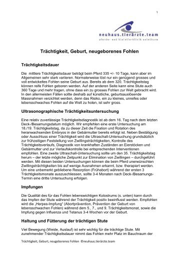 P8_Trächtigkeit-Geburt-neugeborenes Fohlenx