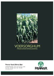 Voersorghum Produksie - Pannar Seed