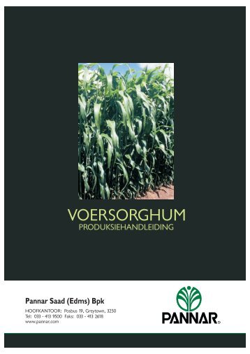 Voersorghum Produksie - Pannar Seed