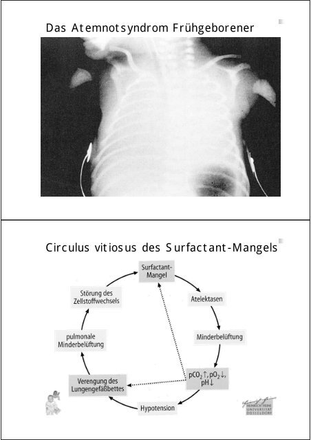 Einführung in die Kinderheilkunde Neonatologie