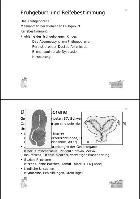 Einführung in die Kinderheilkunde Neonatologie