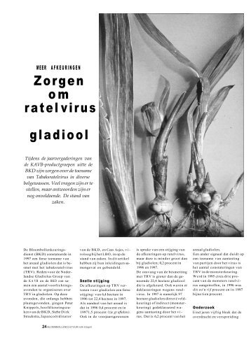 Zorgen om ratel virus gladiool