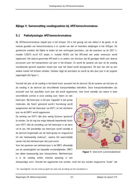 Voedingsadvies bij HFE-hemochromatose - Wageningen UR