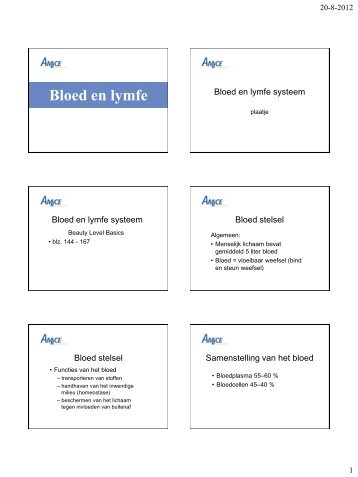 Bloed en lymfe