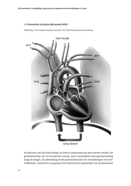 richtlijn Vroegtijdige opsporing aangeboren hartafwijkingen