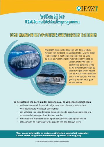 Walvissen en dolfijnen miniles 5-8 jaar - International Fund for ...
