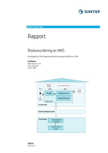 Risikovurdering av AMS. - NVE