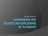 aanpassing van plante om oorlewing in 'n habitat - Hoërskool Hans ...